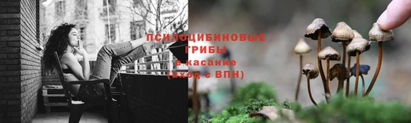 spice Алексин
