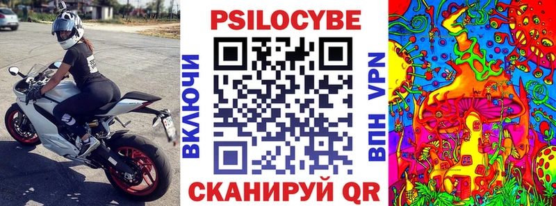 Галлюциногенные грибы мицелий  shop формула  Новозыбков 